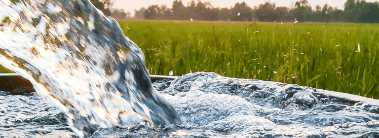 Micropollutant removal with ozone, Birmensdorf